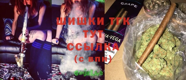 стаф Горнозаводск